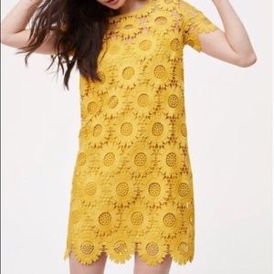LOFT| SUNFLOWER LACED DRESS YELLOW 10P